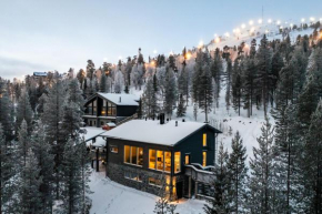 Villa Välke - Relax In Style in Kemijärvi